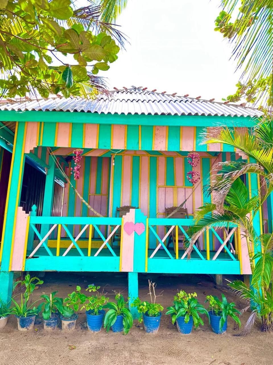 Simone Rabbit Island Hotel แกบ ภายนอก รูปภาพ